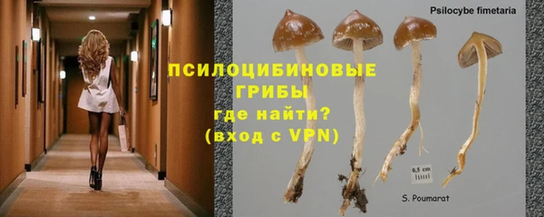 не бодяженный Богородск