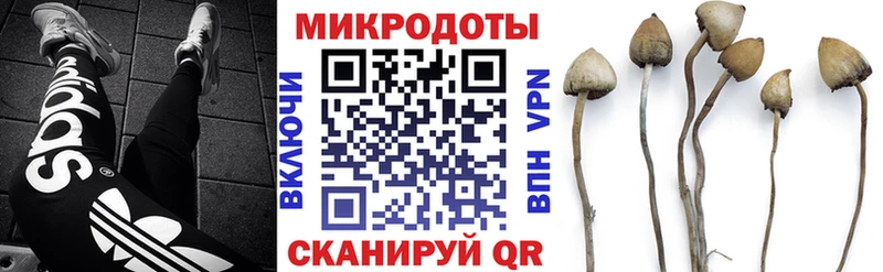 Галлюциногенные грибы мухоморы  Ижевск 